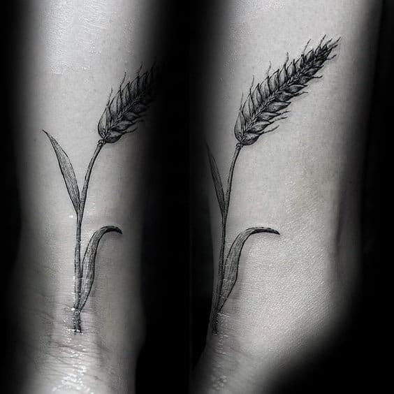 Small Back Of Lower Leg Wheat Tattoo On Gentleman