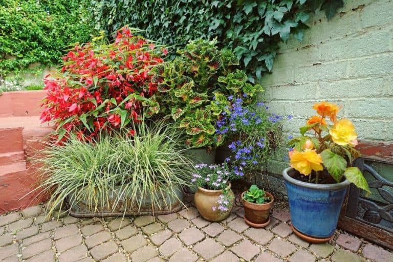 71 Container Garden Ideas For Every Setting In 2024