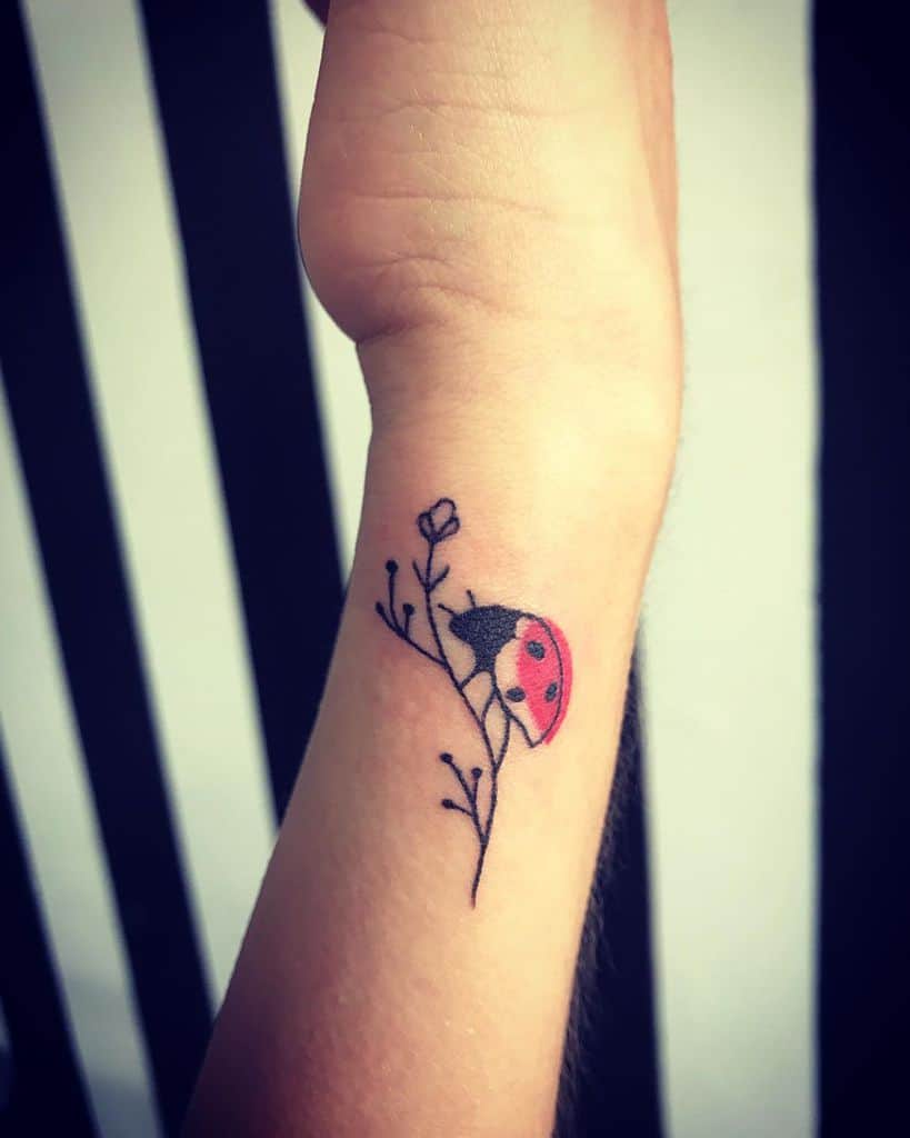 small-catarina-ladybug-tattoo-alex.koi.tattoo