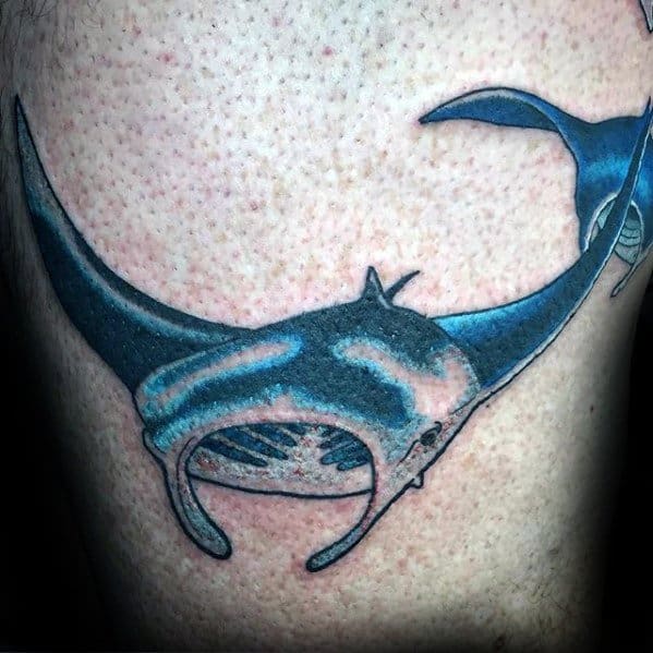 Small Cool Male Manta Ray Tattoo Designs On Arm