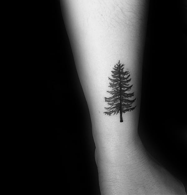 Small Cool Pine Tree Lower Leg Tattoo Design Ideas For Men
