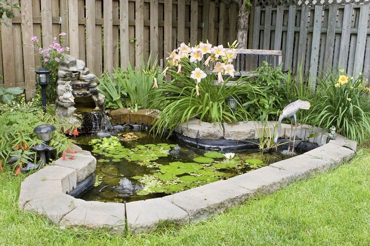 Small Corner Backyard Garden Pond