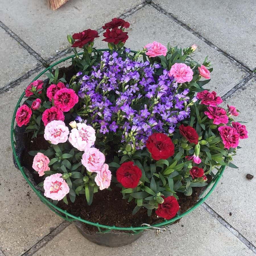 small hanging flower bed