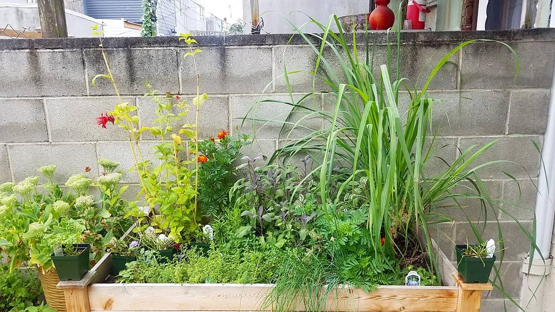 small garden herb garden ideas aleafof_faith_botanicals