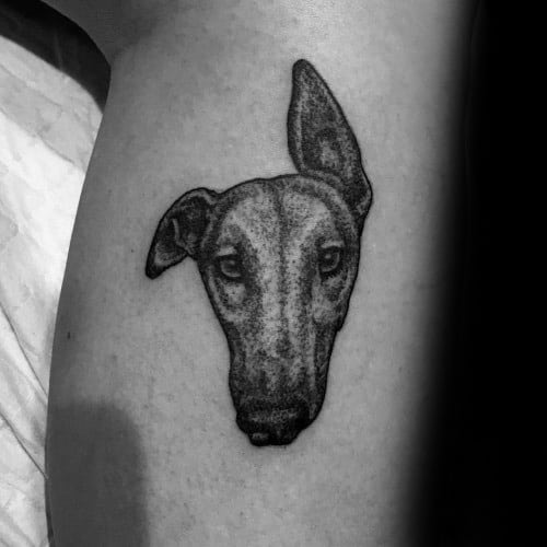 Small Leg Greyhound Dog Head Portrait Tattoo Ideas For Males