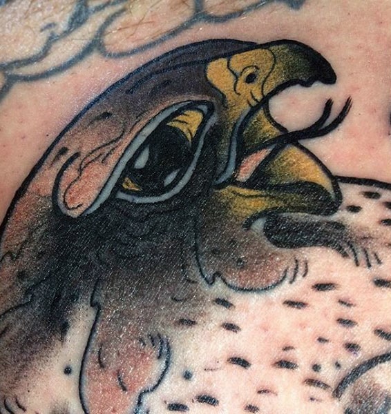 Small Mens Neo Traditional Falcon Tattoos