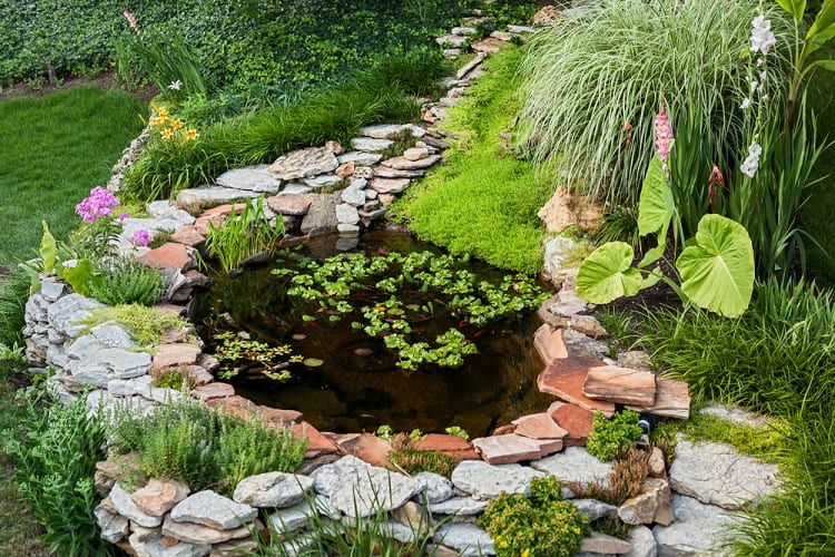 Small Surrounded With Stone Backyard Pond Landscaping