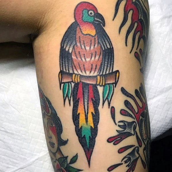 Small Traditional Old School Arm Male Parrot Tattoo Design Inspiration