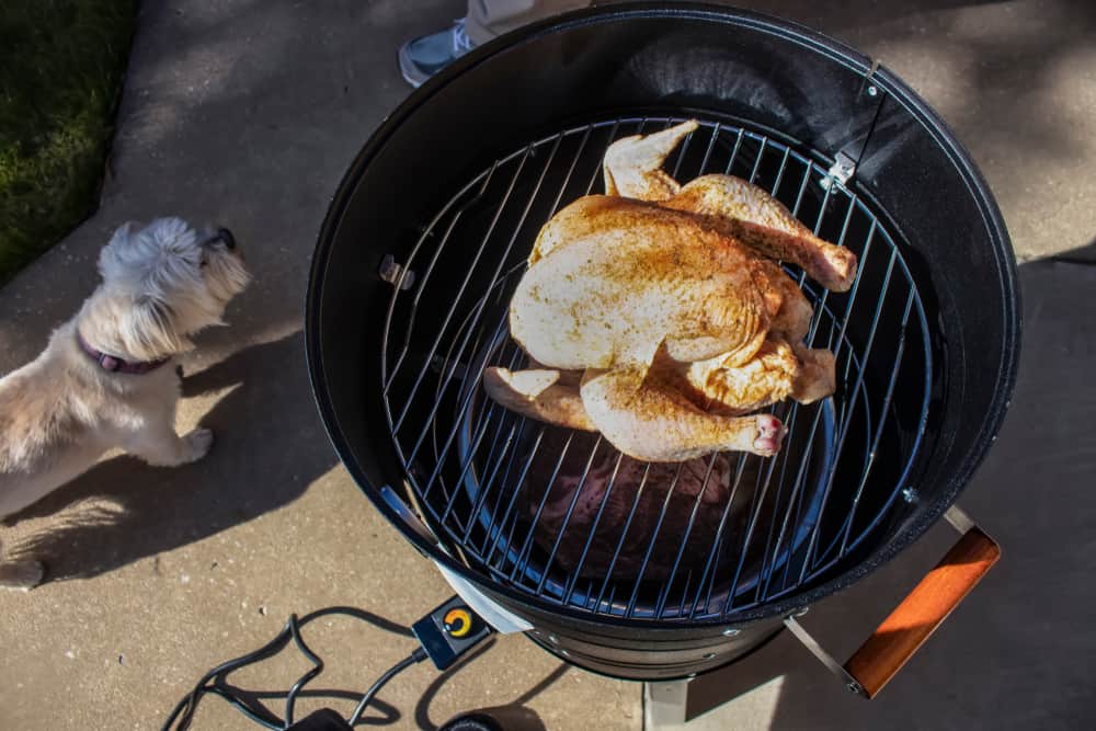 smoking raw chicken outside with electric smoker