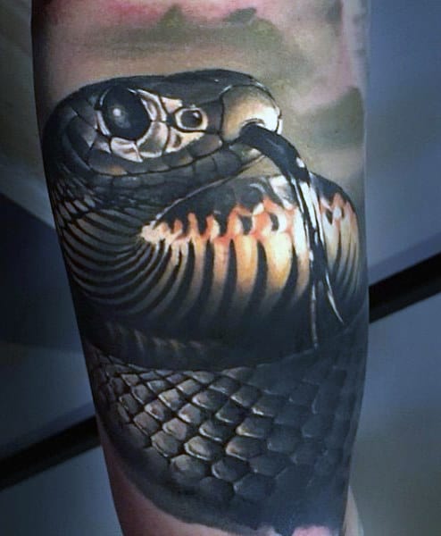Snake And Skull Tattoo For Men