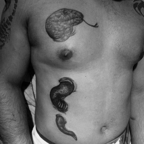 Snake Holes 3d Mens Chest Tattoos