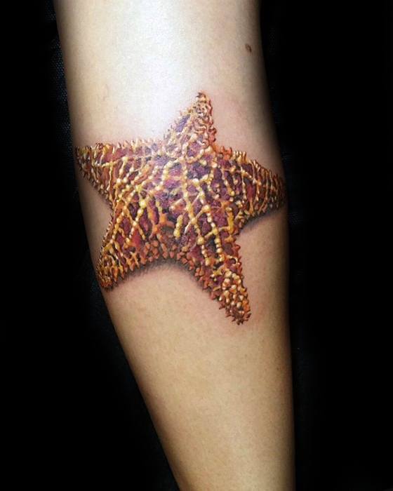 Meaning of the Starfish Tattoo  BlendUp