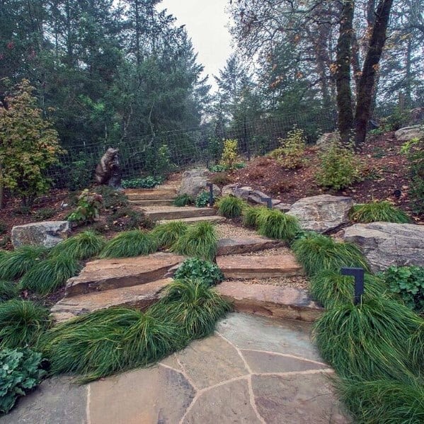 Stars Backyard Lansdcaping Stone Walkway Exterior Ideas