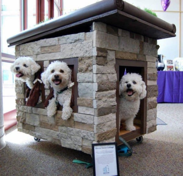 cottage dog house with stone cladding exterior 