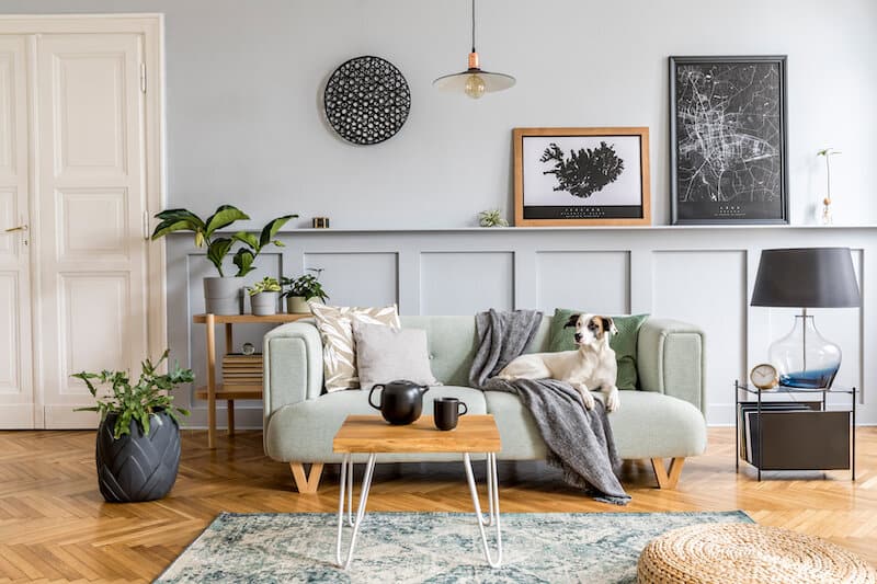 stylish living room green sofa with small coffee table