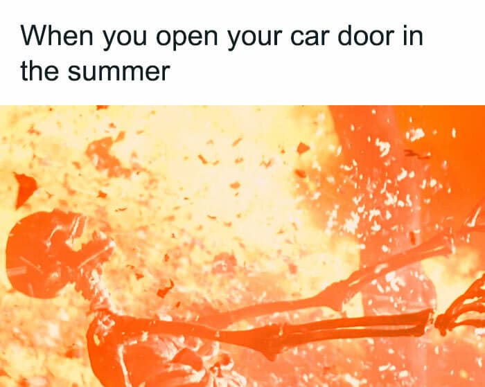25 Hilarious Summer Memes