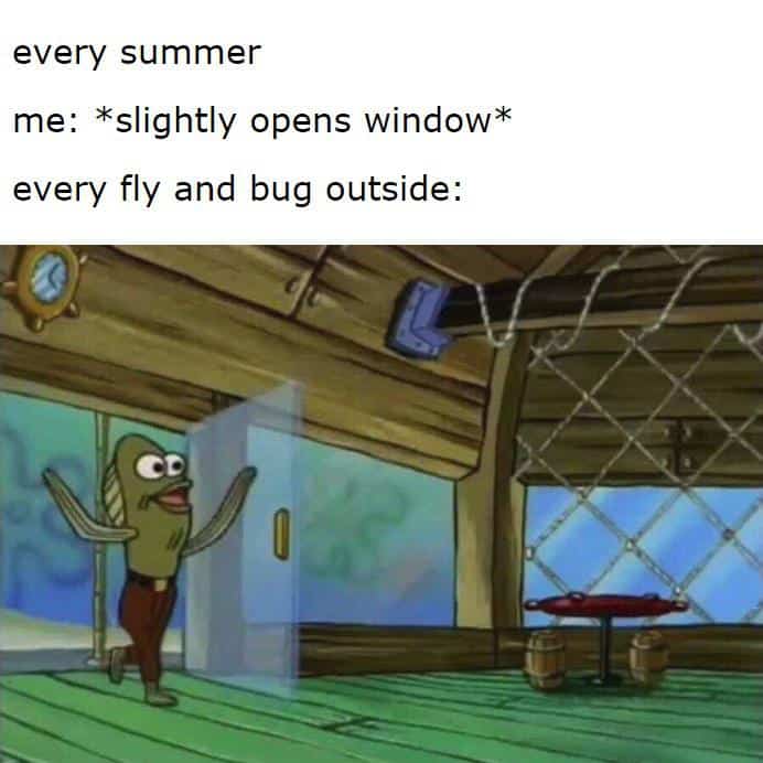 summer-memes-7