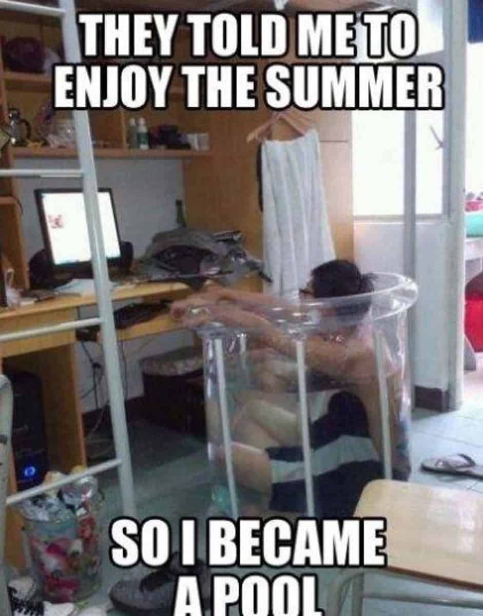 summer-memes-8