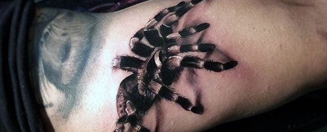 70 Tarantula Tattoo Designs For Men - Spider Ink Ideas