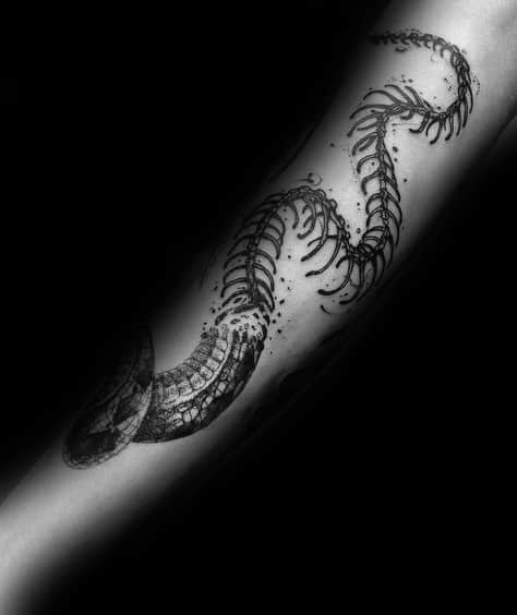 Tattoo Snake Skeleton Designs For Men