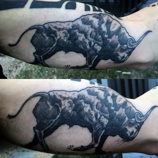 Tattoos Bull Male