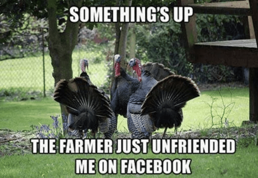 thanksgiving-memes-10