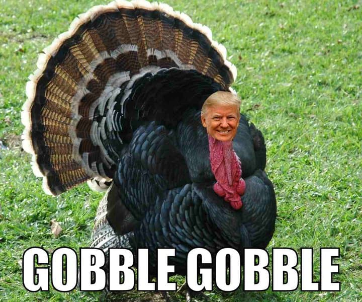 30 Funny Thanksgiving Memes Better Than Your Turkey Dinner Laptrinhx News 2108