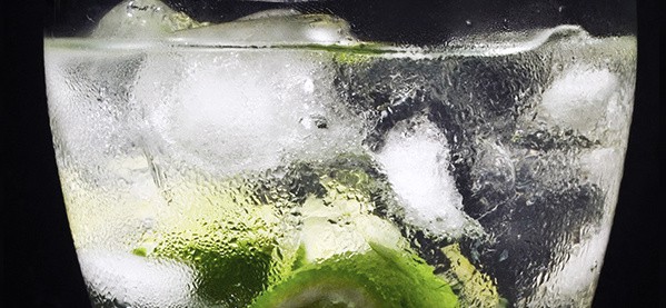The Gin Gimlet Cocktail