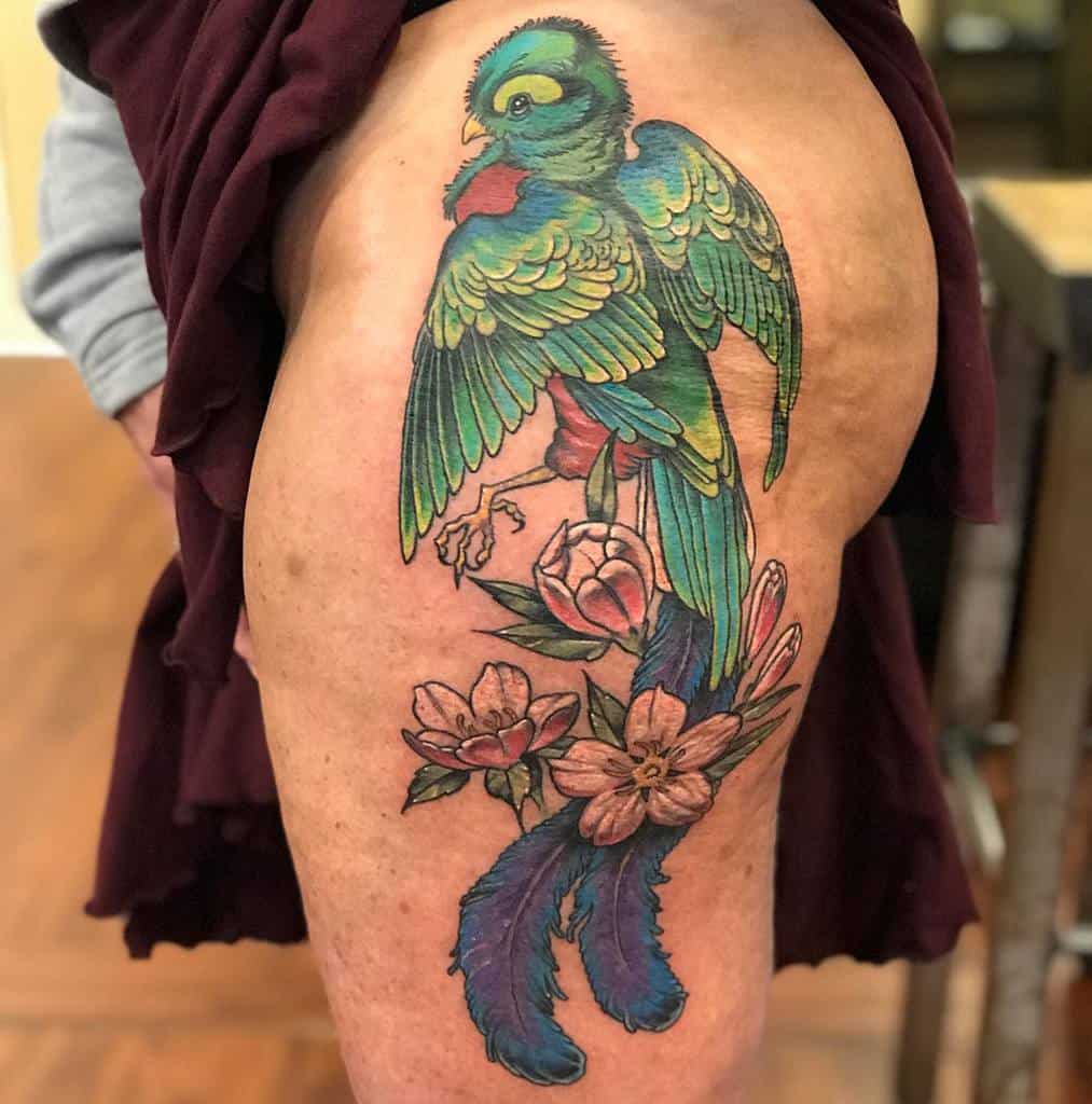 Tattoo of Quetzal Guatemala national bird  Joel Gordon Photography