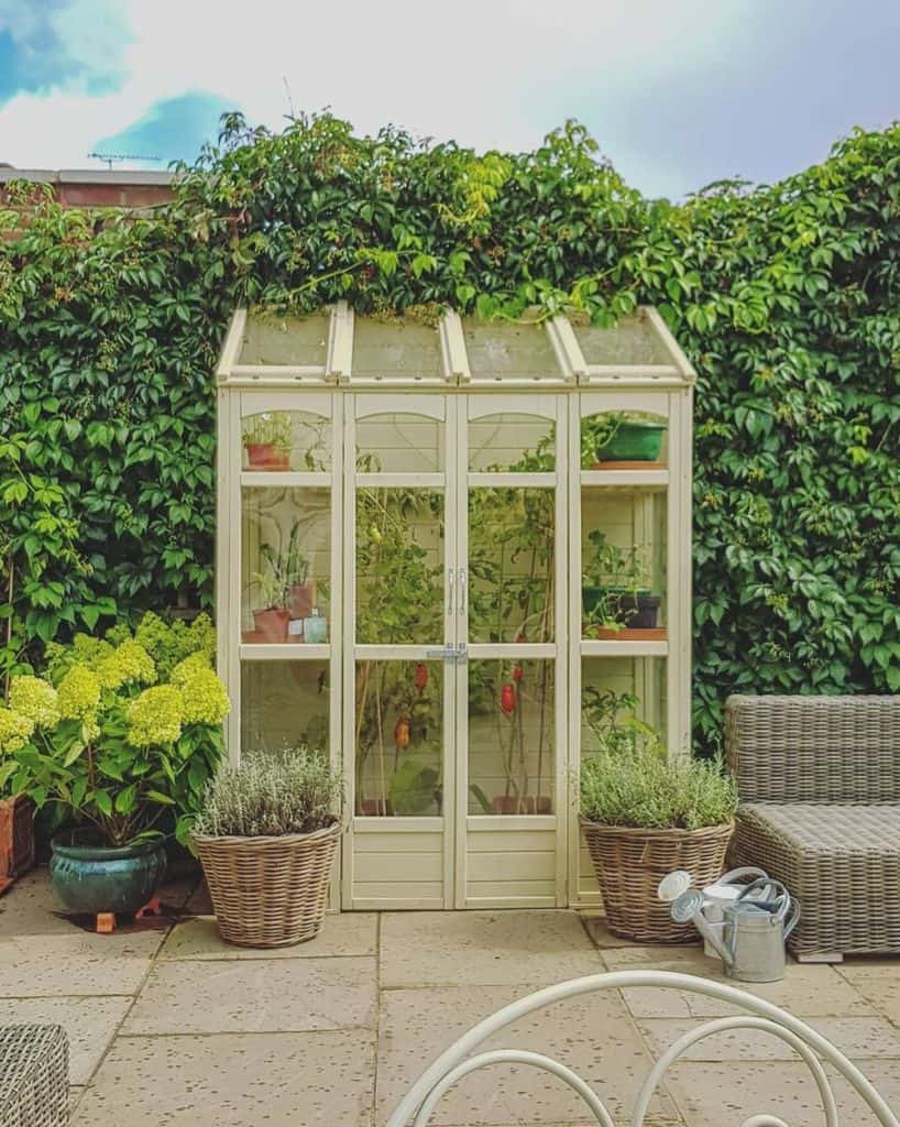 tiny greenhouse backyard paved patio wicker sofa