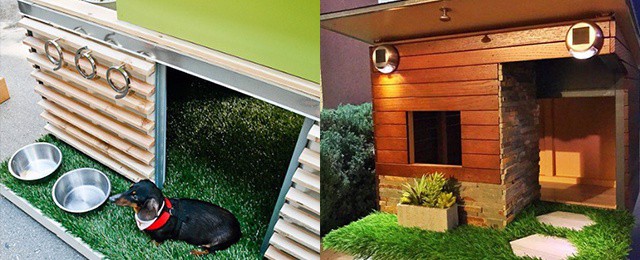 cool dog houses for sale