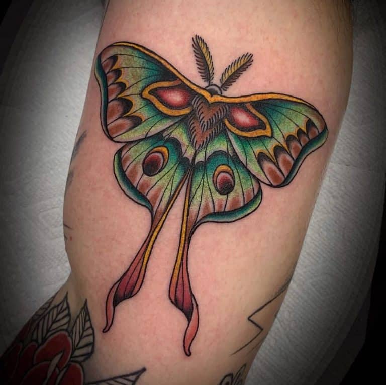 What Do Moth Tattoos Symbolize Design Talk