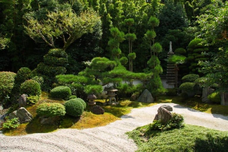 Transform Your Yard With These 67 Zen Garden Ideas in 2024