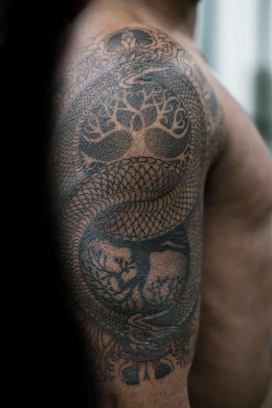 Tree Of Life With Snake And Ouroboros Mens Arm Tattoo Designs