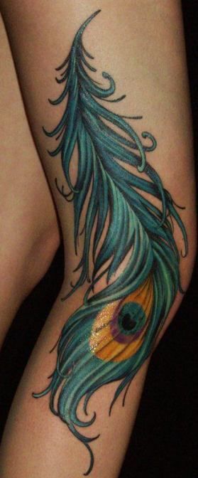 Tatouage plume de paon coloré à la mode