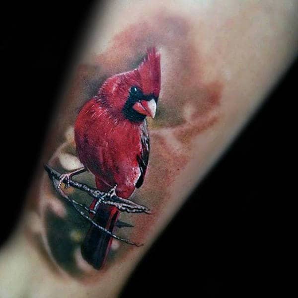 Cardinal  Jay Bird tattoo by me at Dark Age Tattoo Studio Denton TX  r tattoo