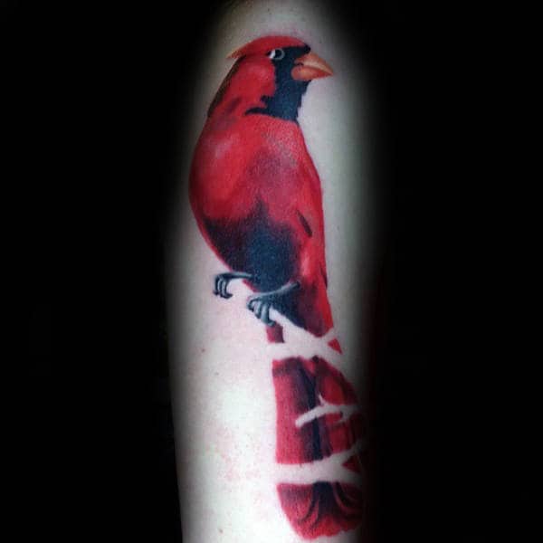 60 Cardinal Tattoo Designs For Men Bird Ink Ideas