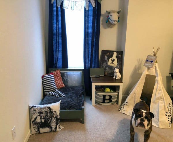 Unique Dog Room Ideas