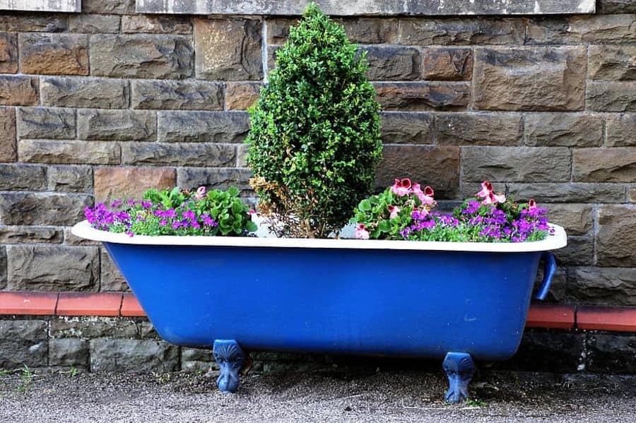 blue bathtub flower bed 