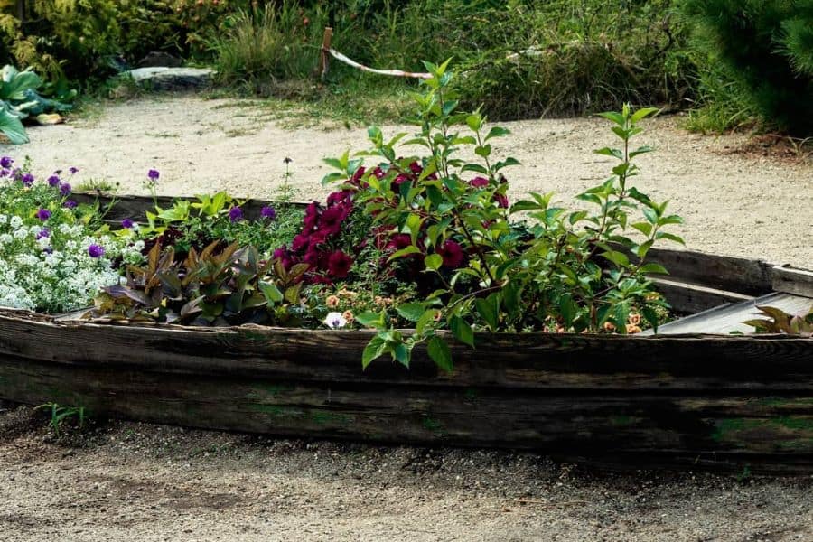 unique wood canoe flower bed