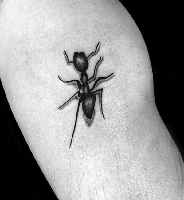 Unique Mens Ant Tattoos On Upper Arm