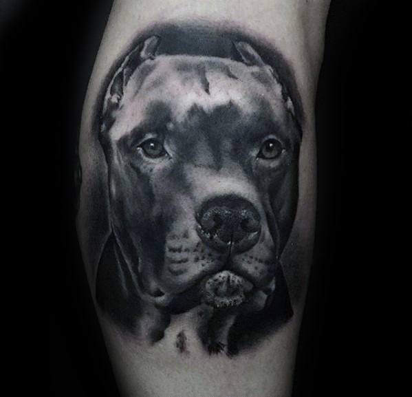 Share 72 tattoo of a pitbull  thtantai2