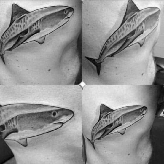 Unique Mens Tiger Shark Tattoos