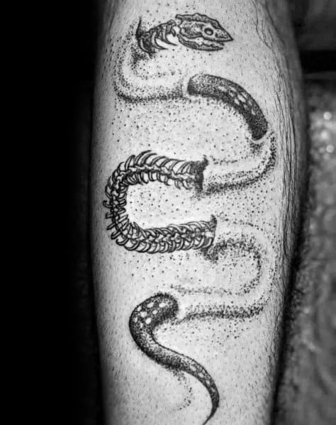 Unique Snake Skeleton Tattoos For Men