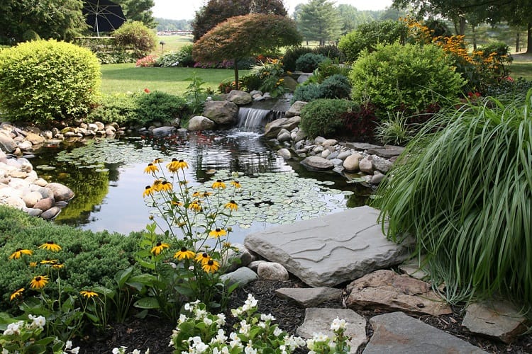 Unique Style Backyard Garden Pond