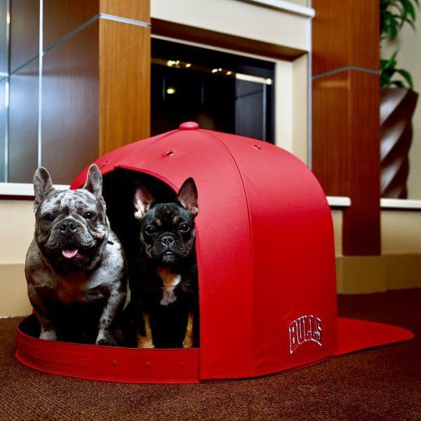 Unqiue Red Snapback Hat Themed Dog House Designs