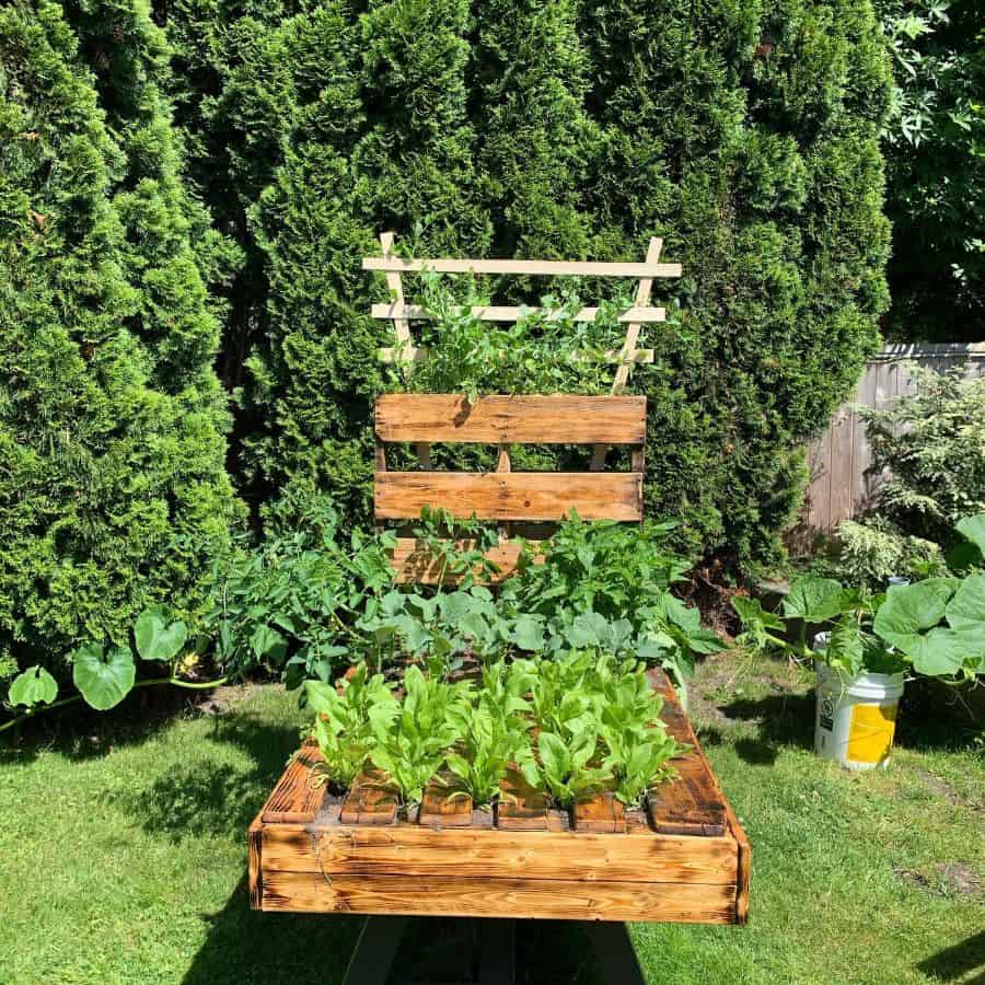 upcycled pallet garden ideas 