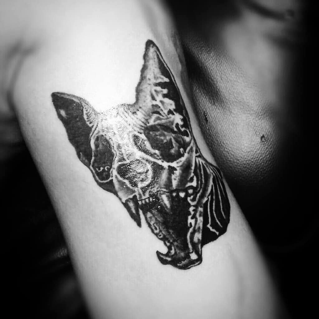 upper arm cat skull tattoo damliketattoo.soc