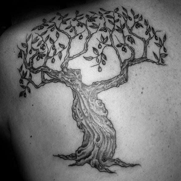 Upper Back Cool Male Olive Tree Tattoo Designs