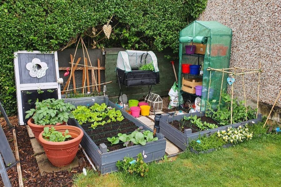 The Top 80 Vegetable Garden Ideas
